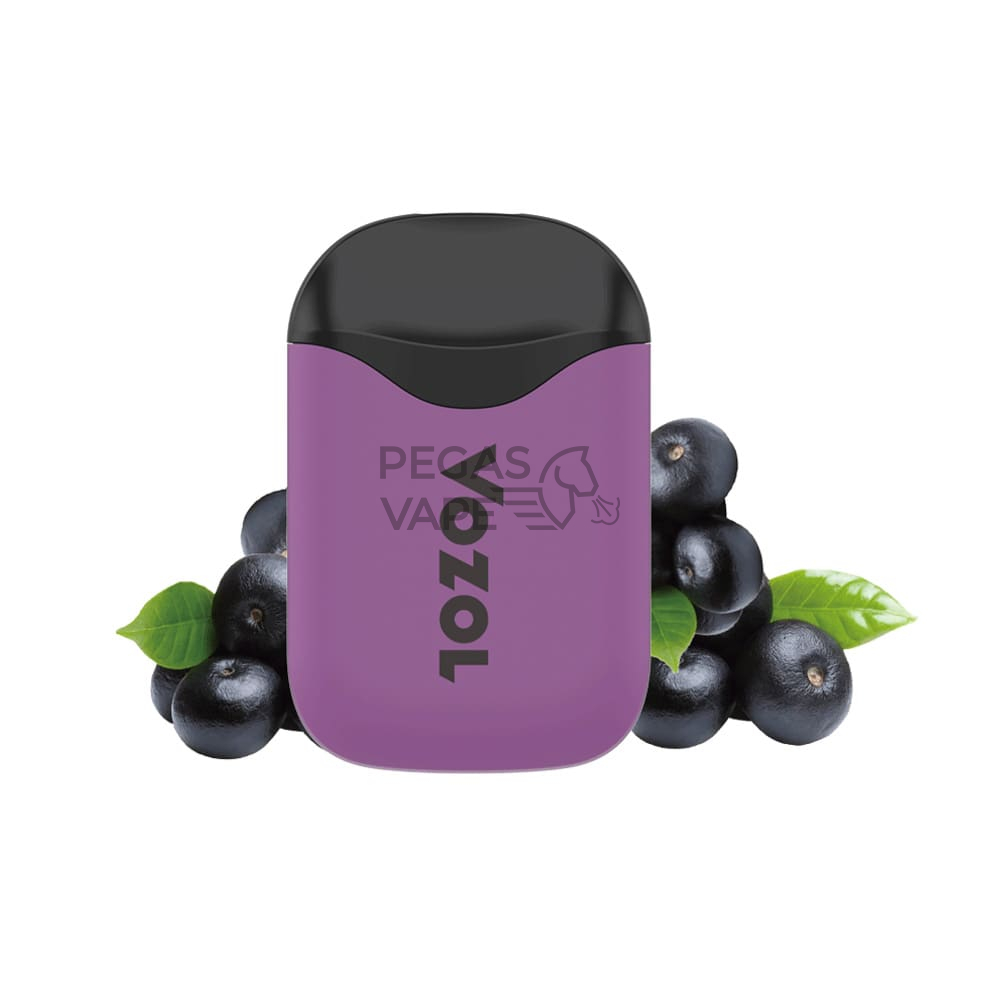 _0000_Электронная сигарета VOZOL D5 1000 Ягода Асаи-min