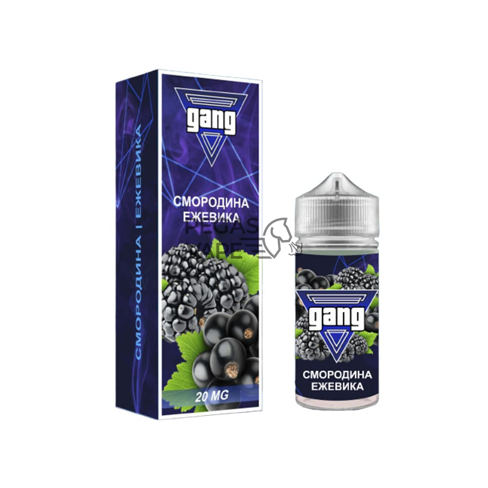 gang-__0014_smorodina_ezhevika-removebg-preview-min