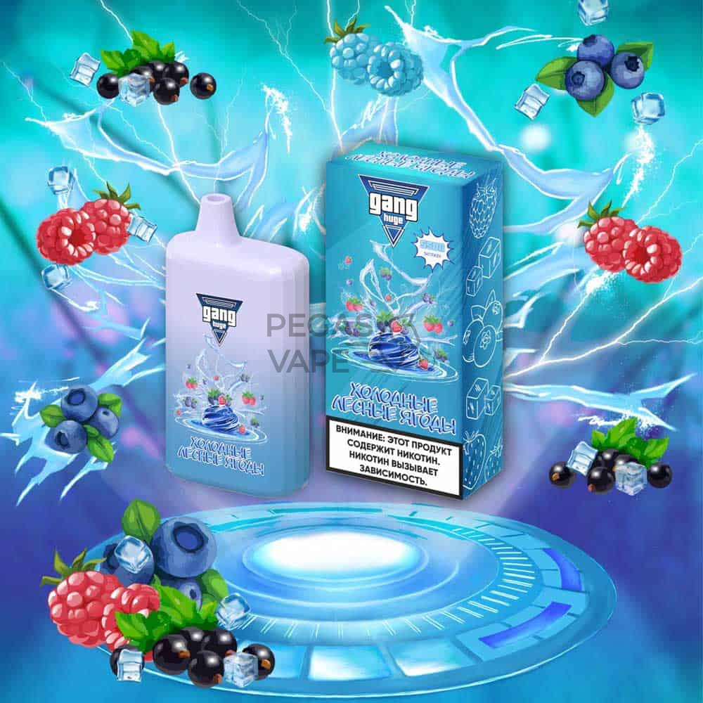 GANG_5500_0008_Холодные лесные ягоды-min
