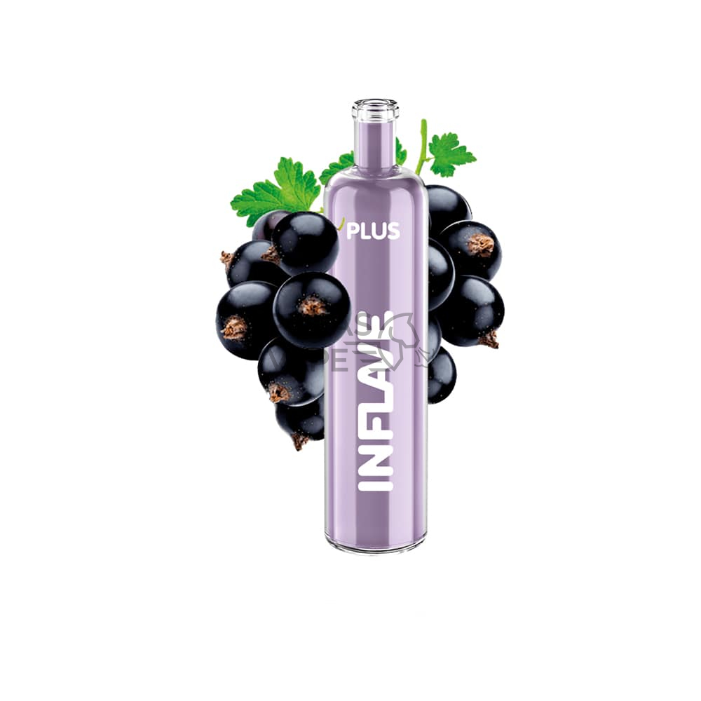 INFLAVE PLUS_0002_Черная сморродина-min