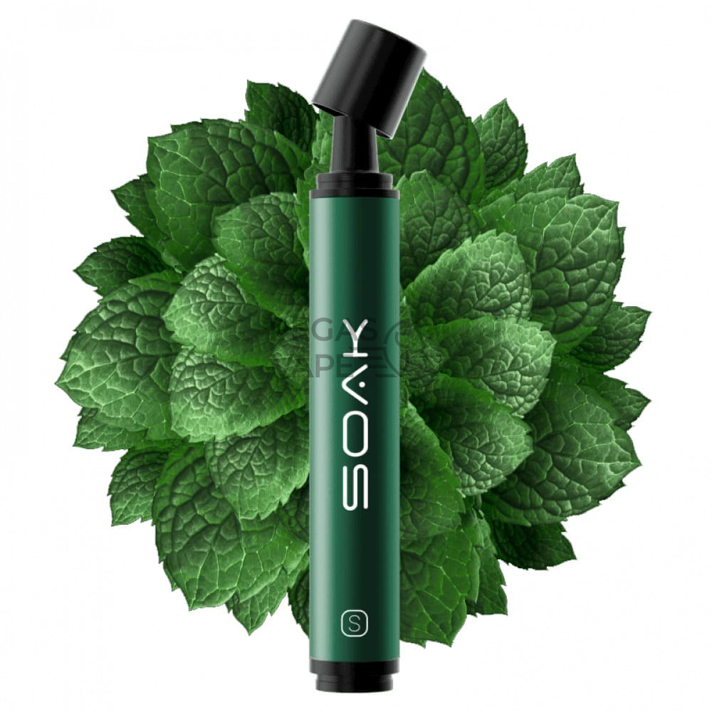 soaks2500canemint-1000x1000