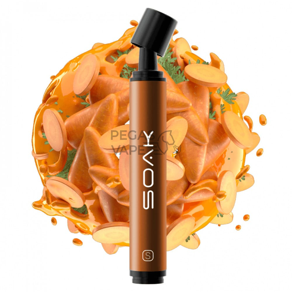 soaks2500carrotjuice-1000x1000