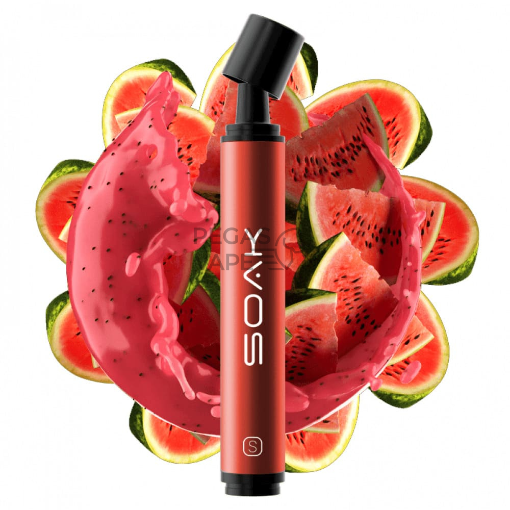 soaks2500watermelonsmoothie-1000x1000