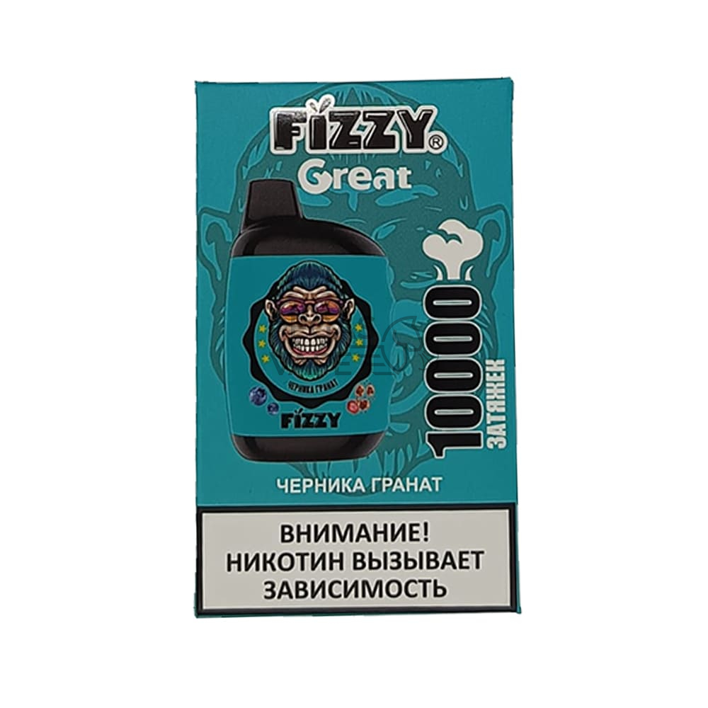 FIZZY_GREAT_10000_0012_Черника Гранат