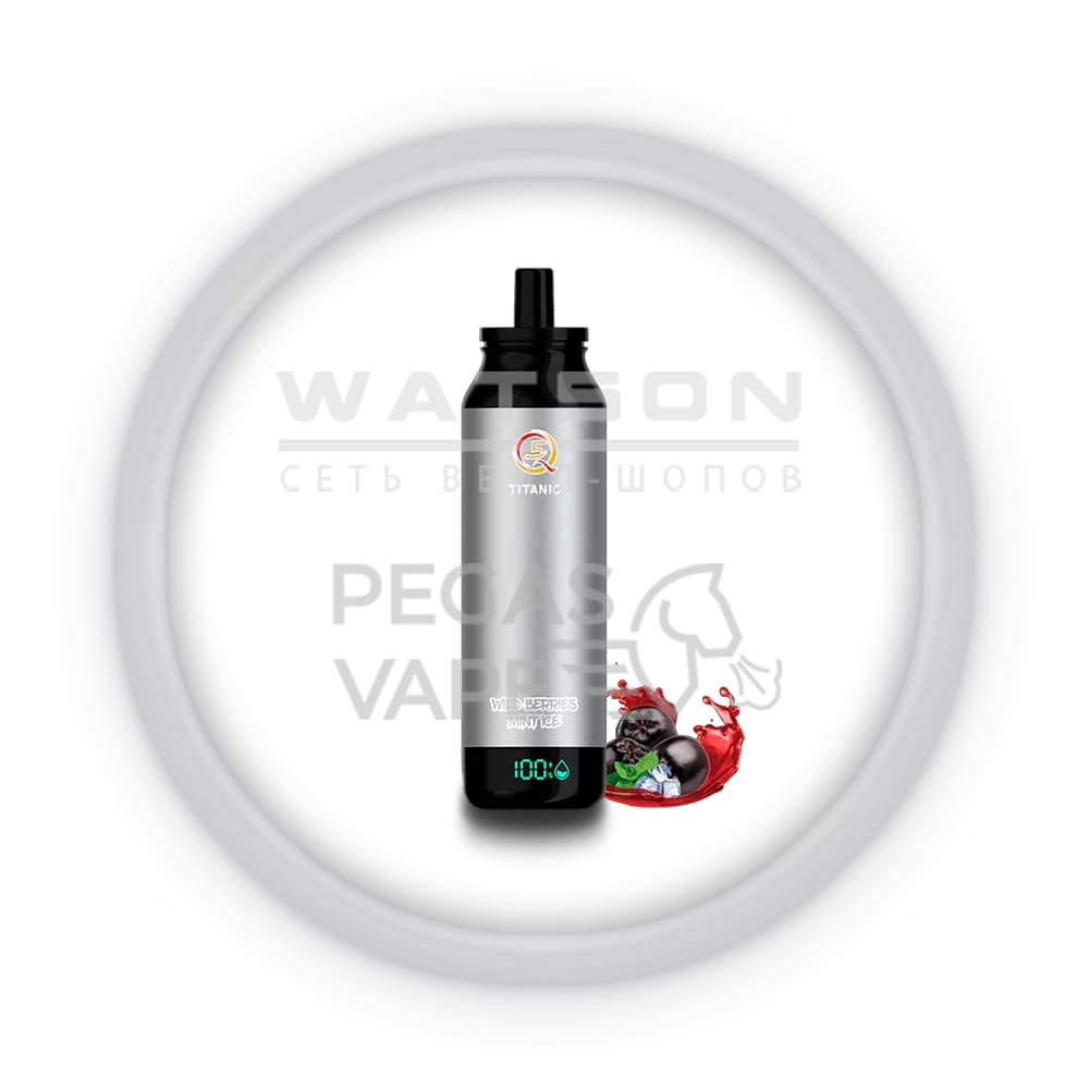 Электронная сигарета Q5 Titanic 14000 (Лесные ягоды мята лед) Электронная сигарета Q5 Titanic 14000 (Лесные ягоды мята лед) - Купить с доставкой в Красногорске