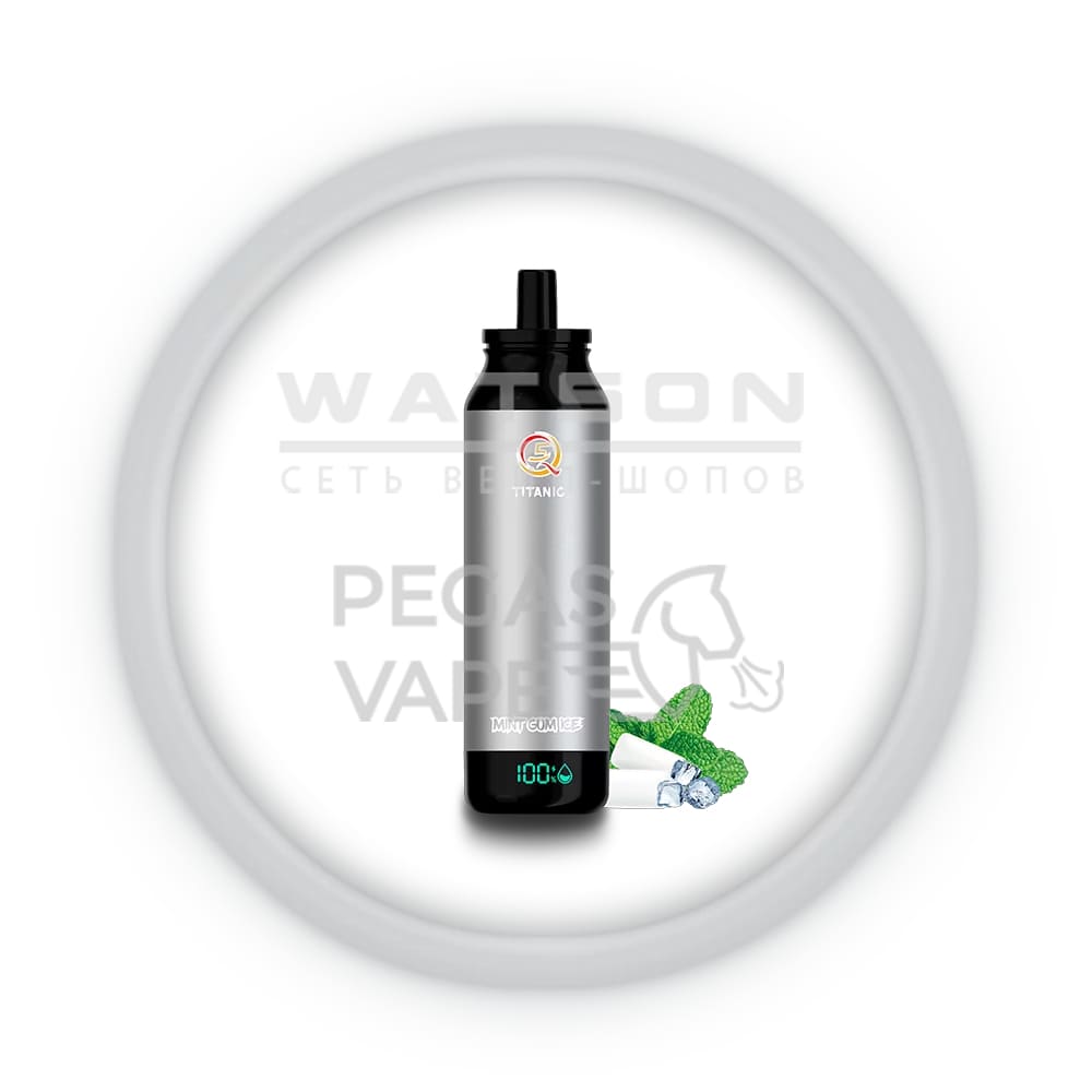 Электронная сигарета Q5 Titanic 14000 (Мятная жвачка лед) Электронная сигарета Q5 Titanic 14000 (Мятная жвачка лед) - Купить с доставкой в Красногорске
