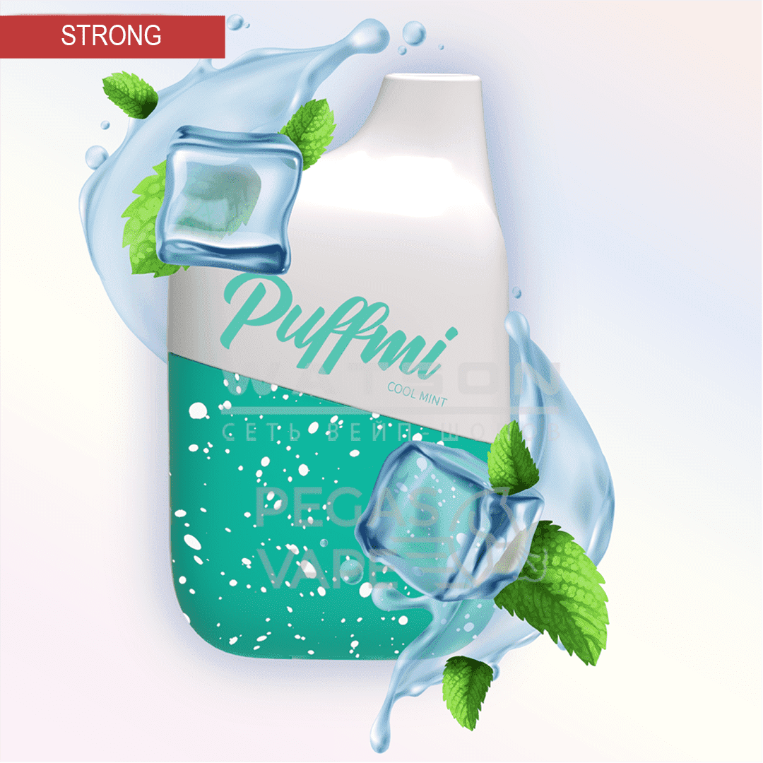 Электронная сигарета PUFF MI V2 4500 (Ледяная мята) Электронная сигарета PUFF MI V2 4500 (Ледяная мята) - Купить с доставкой в Красногорске