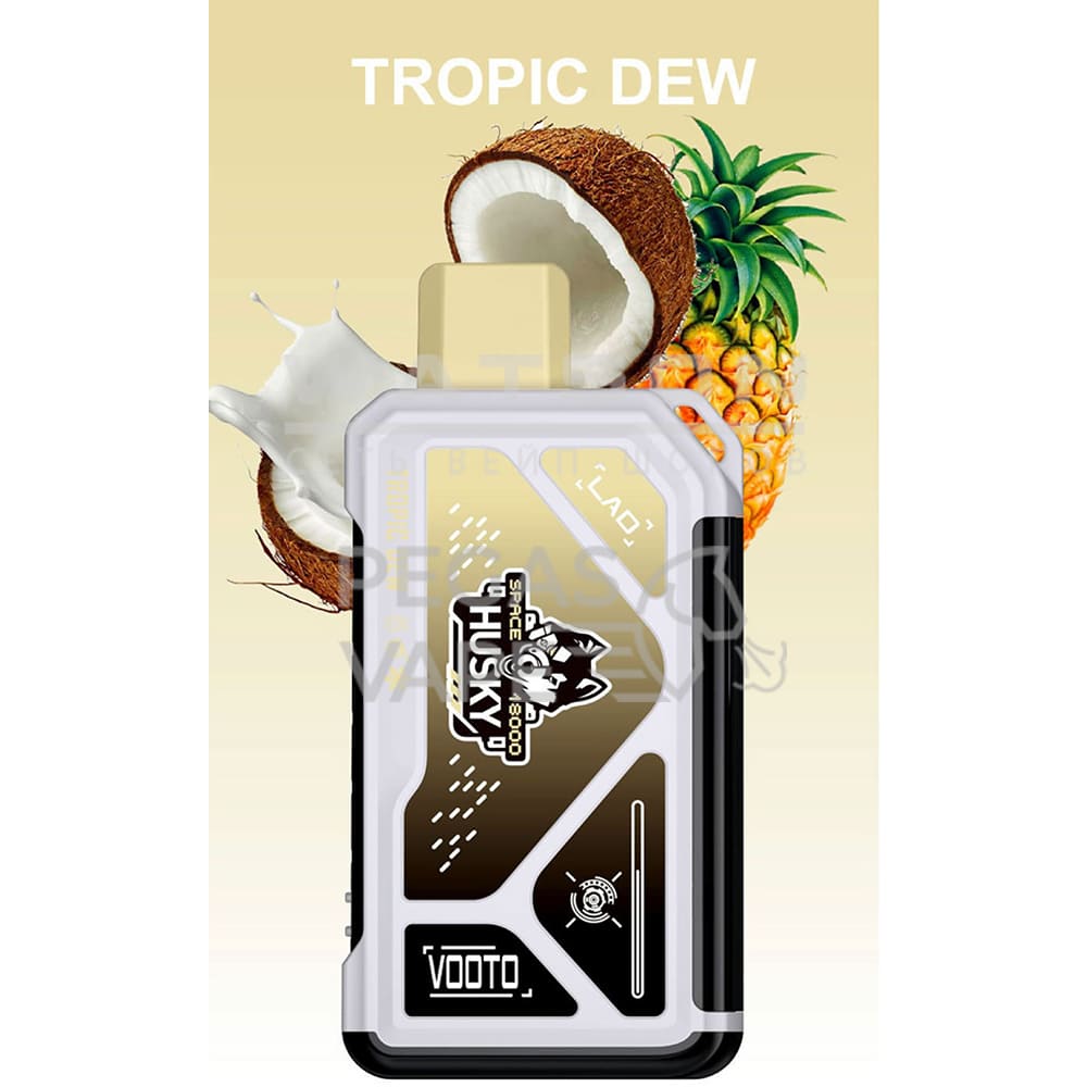 Электронная сигарета HUSKY SPACE 18000 (Ананас кокос и лед) Электронная сигарета HUSKY SPACE 18000 (Ананас кокос и лед) - Купить с доставкой в Красногорске