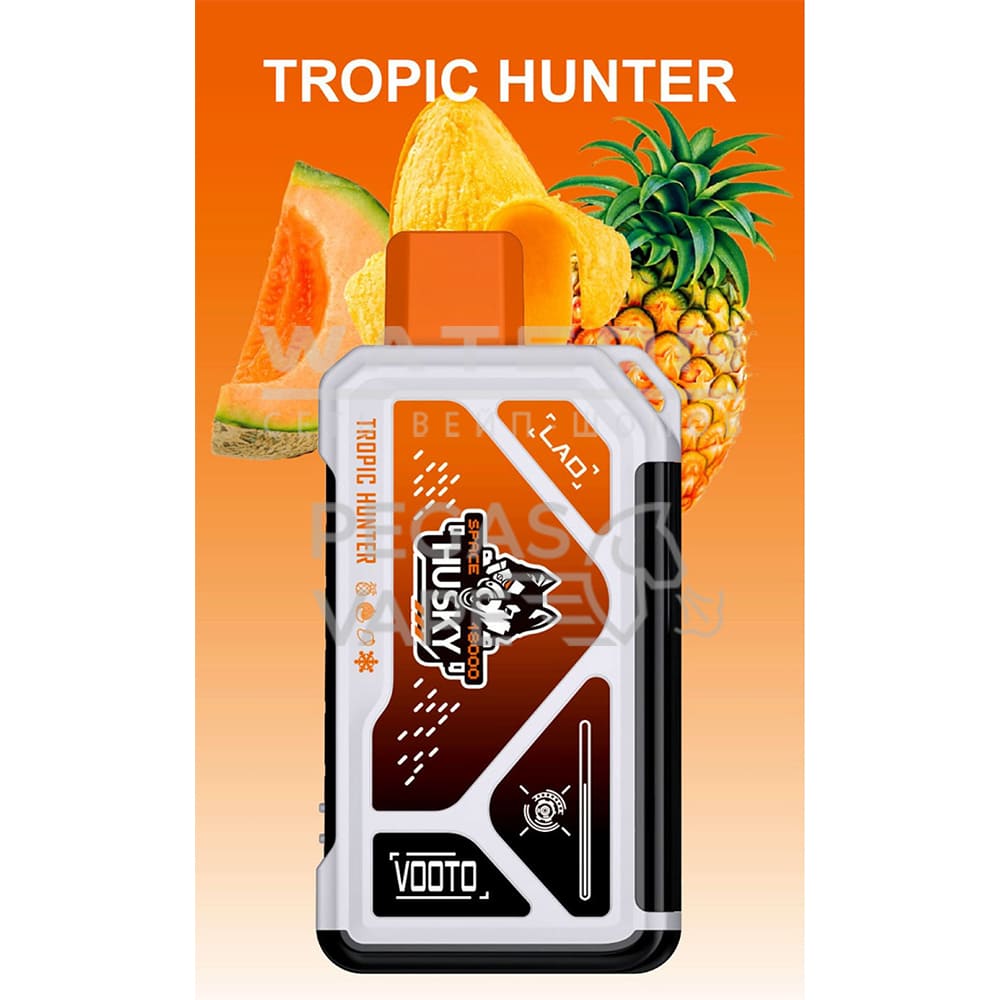 Электронная сигарета HUSKY SPACE 18000 (Ананас дыня манго и лед) Электронная сигарета HUSKY SPACE 18000 (Ананас дыня манго и лед) - Купить с доставкой в Красногорске