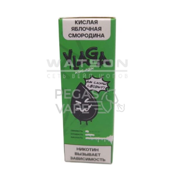 Жидкость VLAGA Кисляк Кислая яблочная смородина 30 мл 2% (20 мг/мл) - Купить с доставкой в Красногорске